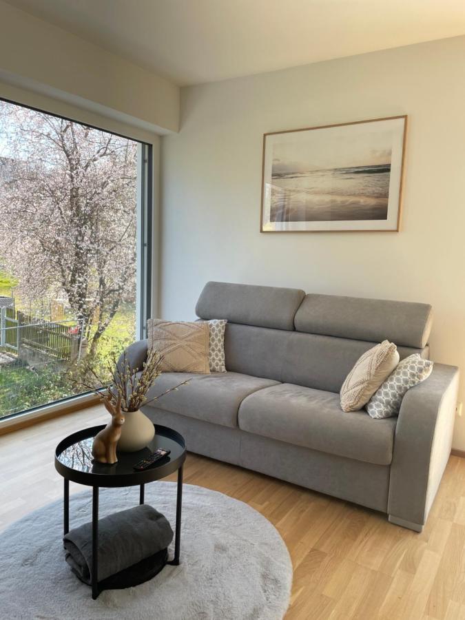 Luxury - Apartment Mit Balkon In Seenaehe Gmunden Extérieur photo